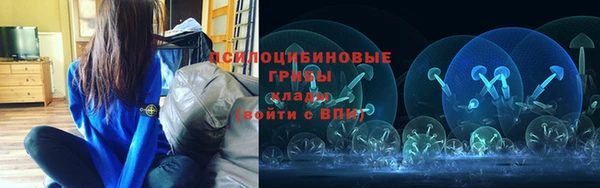 дживик Нея