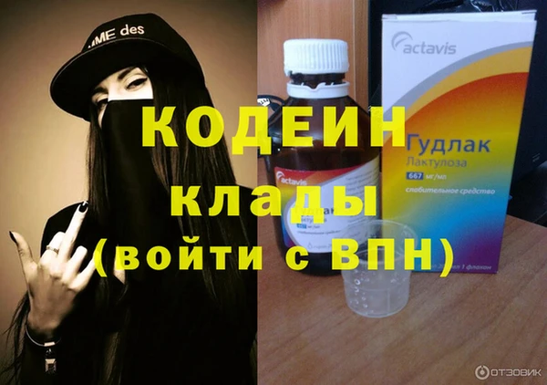 мдпв Туринск